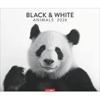 Weingarten Black & White Animals 2026