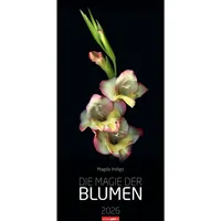 Weingarten Die Magie der Blumen Kalender 2026