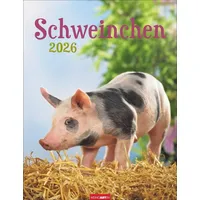 Weingarten Schweinchen Kalender 2026