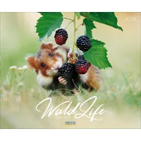 Korsch Verlag WaldLife 2026: Großer Wandkalender mit poetischen Aufnahmen