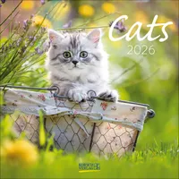 Korsch Verlag Cats 2026