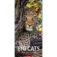 Weingarten Big Cats Kalender 2026