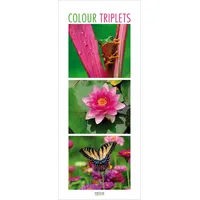 Korsch Verlag Colour Triplets 2026: Schmaler Wandkalender. Foto-Kunstkalender mit