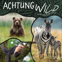 Korsch Verlag Achtung wild - Tiere aus aller Welt