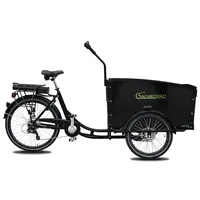 Sachsenrad E-Lastenrad T1 Grand Trunk mit Alarmanlage