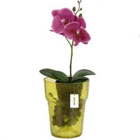 Botle Blumentopf, Blumenübertopf, Glas, für Orchideen, Orchideentopf D 15,5