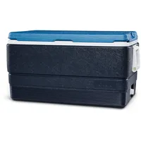 Igloo Kühlbox, 66 l)