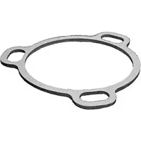 WOLF-Garten Wolf Gehäusedichtung für TOB