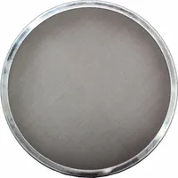 WOLF-Garten Ansaugfilter 240mm