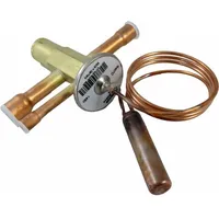 WOLF-Garten Ventil Expansions-Thermometer 2071334 für BWS-1 6