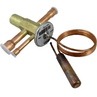 WOLF-Garten Ventil Expansions-Thermometer 2071199 für BWS-1 12