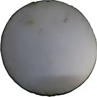 WOLF-Garten Wärmedämmung Boden 1668710 für BSH-500