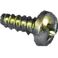 WOLF-Garten Wolf Blechschraube ST5,5x13-F-H GV DIN 7981