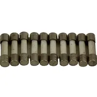 WOLF-Garten Wolf Feinsicherung 6,3A, Mittelträge für R12, R16, R32