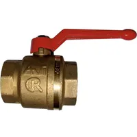 WOLF-Garten Kugelhahn 1 1/2 Zoll DN40 PN25 für FWS-350