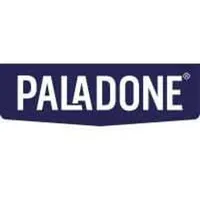 Paladone Playstation Neon Glühbirnenlampe