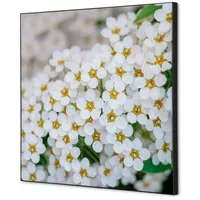 Showdown Displays Showdown Wanddekoration Set 40x40cm Weiße Blume Spirea