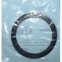 Remeha Dichtung 300003349