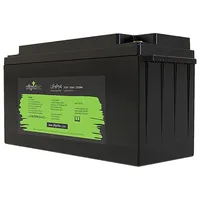 Offgridtec LiFePO4 Akku 2,56 kWh