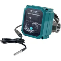 Shelly PbS FrankEver Smart Water Valve DN25 Wasserventil WLAN