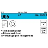 Hörger & Geßler Verschlußschraube DIN 906 R 1/4 50