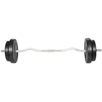 VidaXL Hantelset mit Curlstange und Hantelscheiben 30 kg schwarz