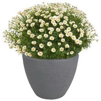 Jelenia Plast Pflanztopf grau Steinoptik Blumentopf Pflanzkübel Blumenkübel Übertopf