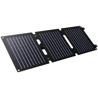 Trust Zuny, 20 W, 2,4 V, 3 A, Schwarz,