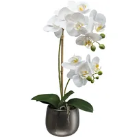 Creativ green Kunstorchidee Orchidee Phalaenopsis, Creativ green, Höhe 48