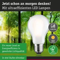 Paulmann 29257 Eco-Line Filament 230V LED Birne E27 1055lm