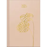 Baier & Schneider rido/idé 7028503016 Buchkalender Young Line 2026