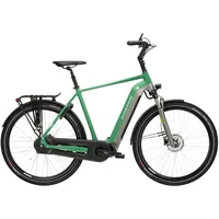 KROSS E-Citybike Sentio 6.0 28" grün"