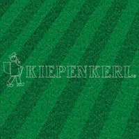 Kiepenkerl RSM 3.2 Profi Sportrasen Regeneration mit Poa 10kg