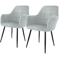 ECD Germany 2er Set Grau | Samtbezug, Armlehnen, Metallbeine,