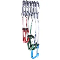 Wild Country Astro Trad Expresset 6er Pack (Größe ONE