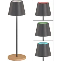 Fischer Leuchten LED RGB Tischleuchte, Außenleuchte, Touch-Dimmer, H 38