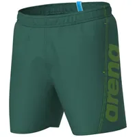 Arena Herren Fundamentals Logo R | Mangrove-artic Lime -