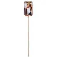 Esschert Design Gartenfackel mit Stroh ca. 6 Stunden Brenndauer