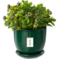 Botle Keramiktopf Ø 13 x 13 cm Grün Komplettset