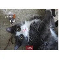 Casares Edition Funny Cats Kalender 2026 – Wandkalender Fotokalender