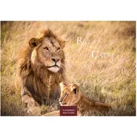 Casares Fine Art Edition Big Cats Kalender 2027 –