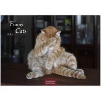 Casares Fine Art Edition Funny Cats Kalender 2026 -