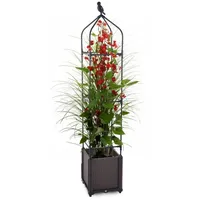 Gartenwelt Riegelsberger Blumenkasten mit Rankhilfe 30 x 30 x