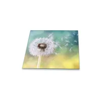 Decorwelt Herdabdeckplatte Abdeckung Ceranfeld Abdeckplatte Schneidebrett 1-Teilig 60x52 Pusteblume