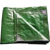 Kestek Abdeckplane 4 x 6 m Grün