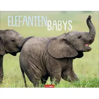 Weingarten Elefantenbabys Kalender 2026