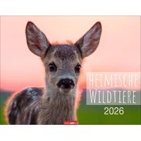 Weingarten Heimische Wildtiere 2026