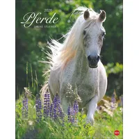 Heye Pferde Classics Posterkalender 2026