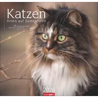 Weingarten Katzen - Diven auf Samtpfoten Kalender 2026: /