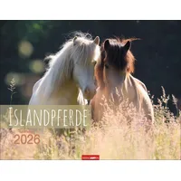 Weingarten Islandpferde Kalender 2026
